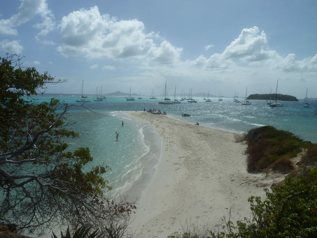 plaa na Tobago Cays