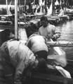 Mazury 1978 - przed regatami